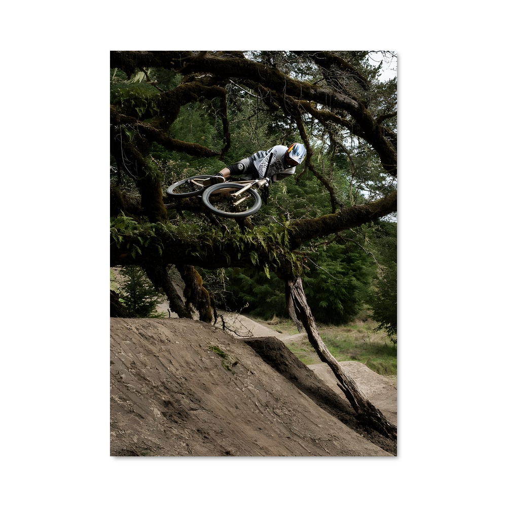 Poster Brandon de semenuk